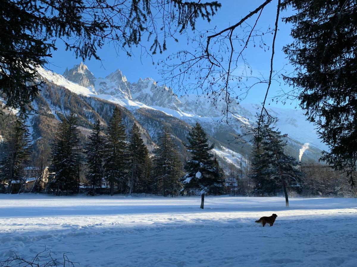 Apartment Maya, La Praz, Chamonix Mont Blanc Ngoại thất bức ảnh